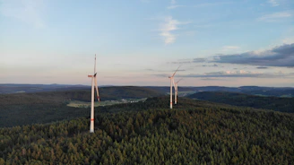 Wind turbines turning gracefully on a green hillside under a soft morning light.