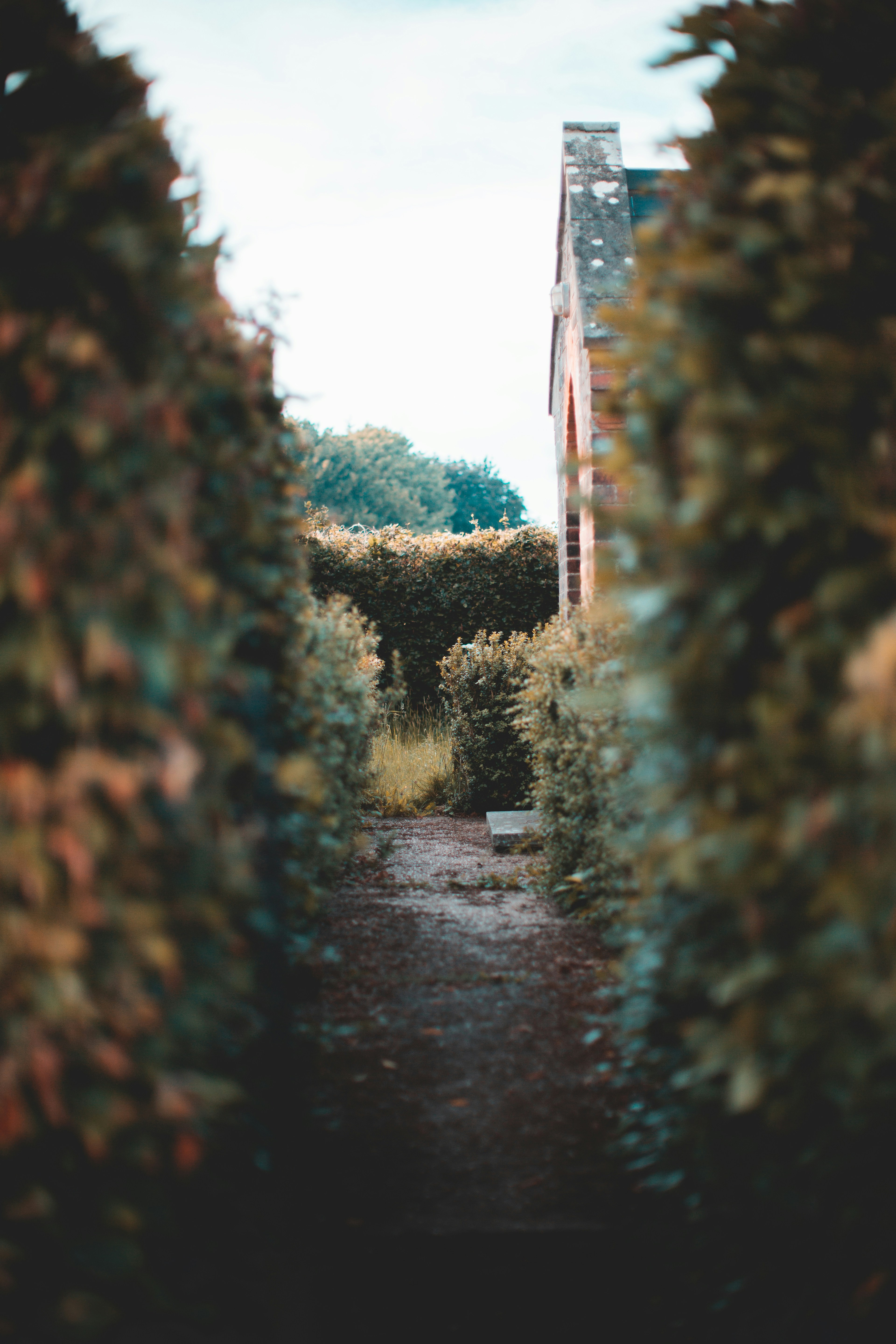 Photo by domheartley