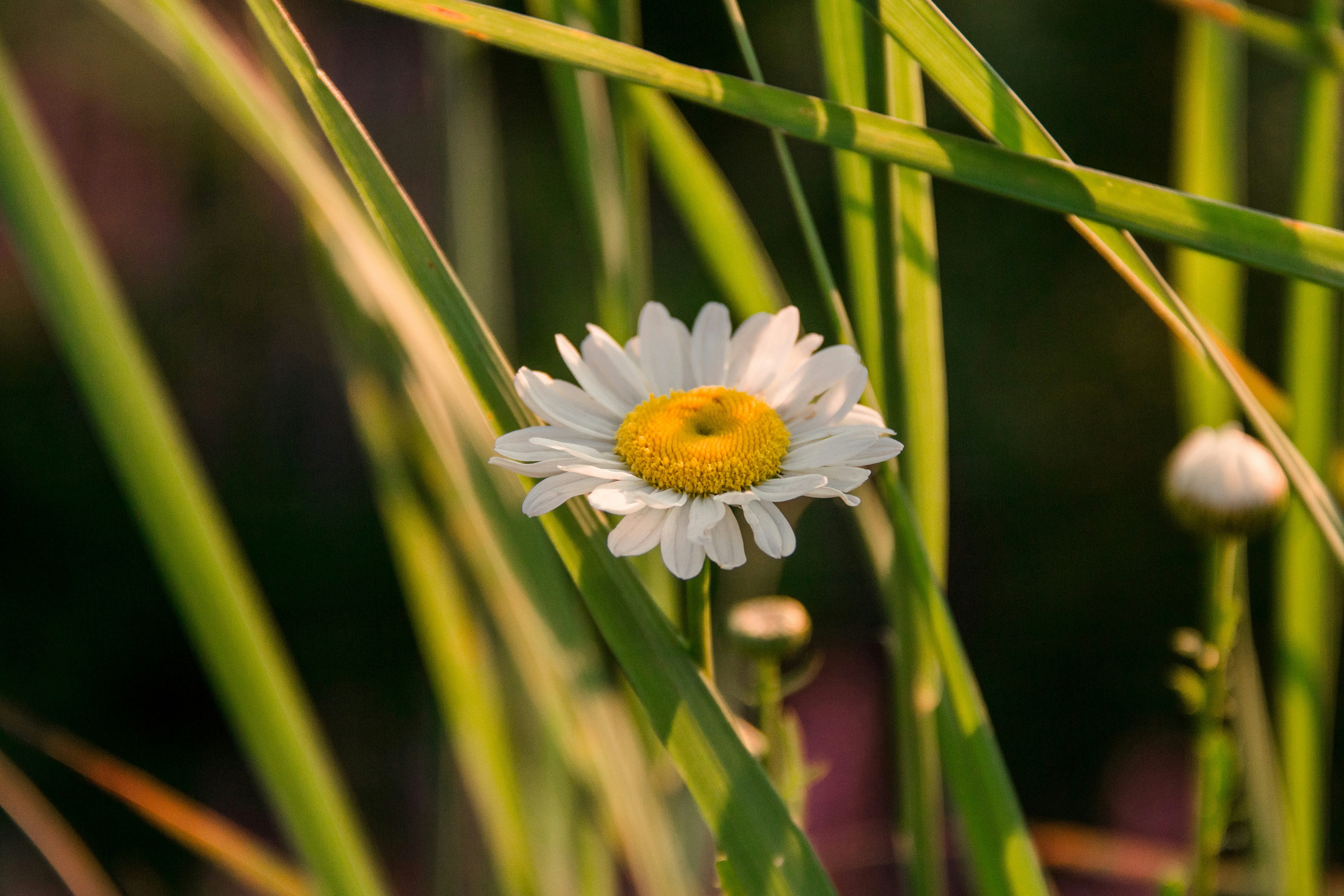 Photo by helenaast