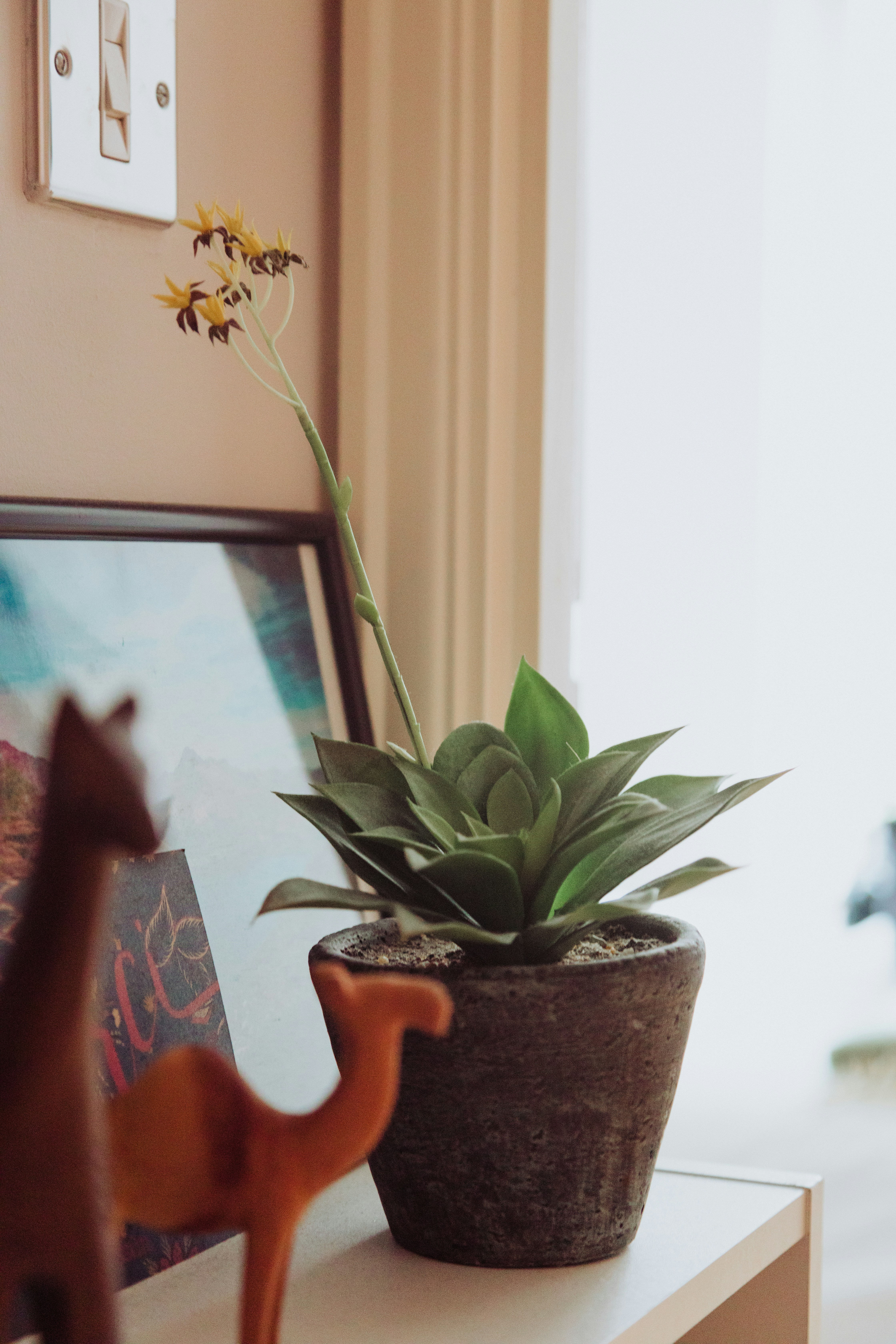 Photo by nicolasjleclercq