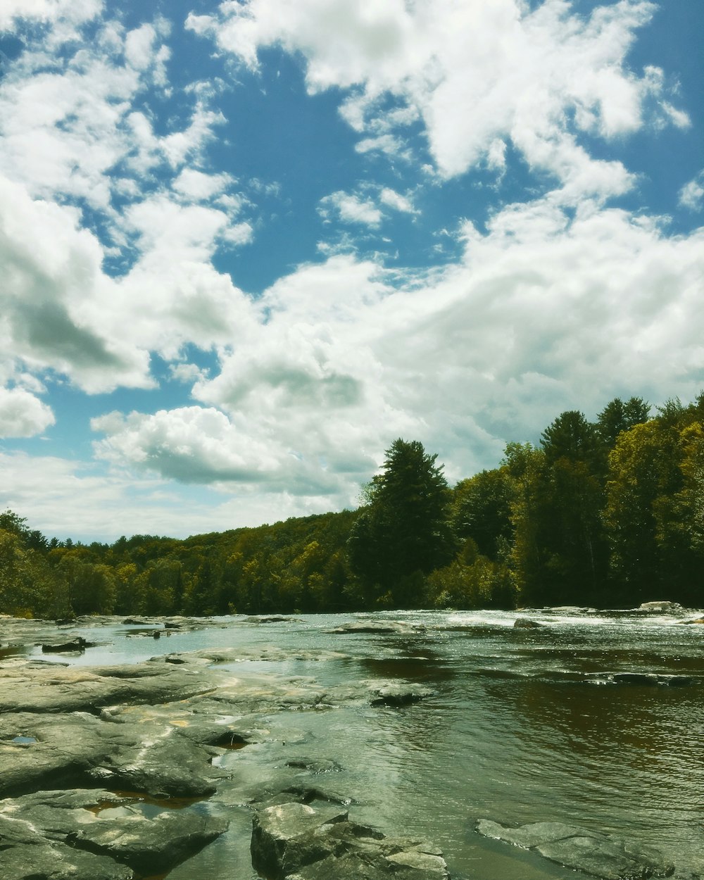 green trees beside river under blue sky and white clouds during daytime