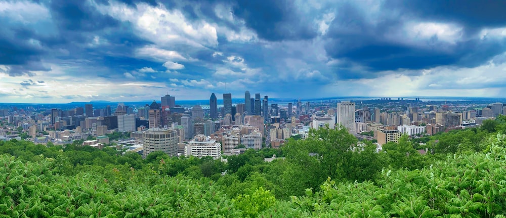 city buildings under blue sky during daytime