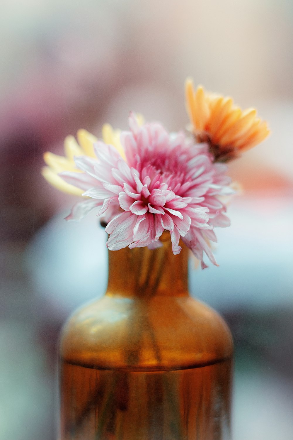 pink and white flower in brown vase