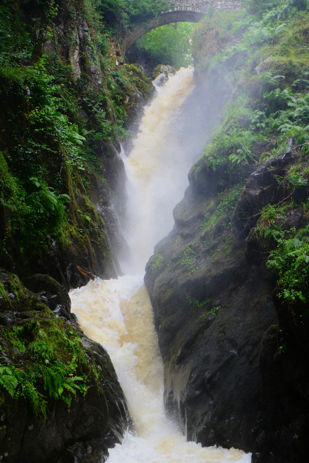 waterfalls in the middle of green trees