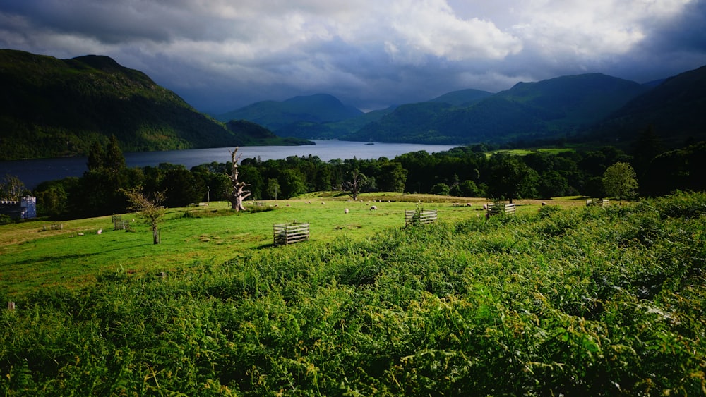 green grass field near green mountains during daytime