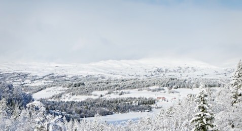 snow covered field under white cloudy sky during daytime