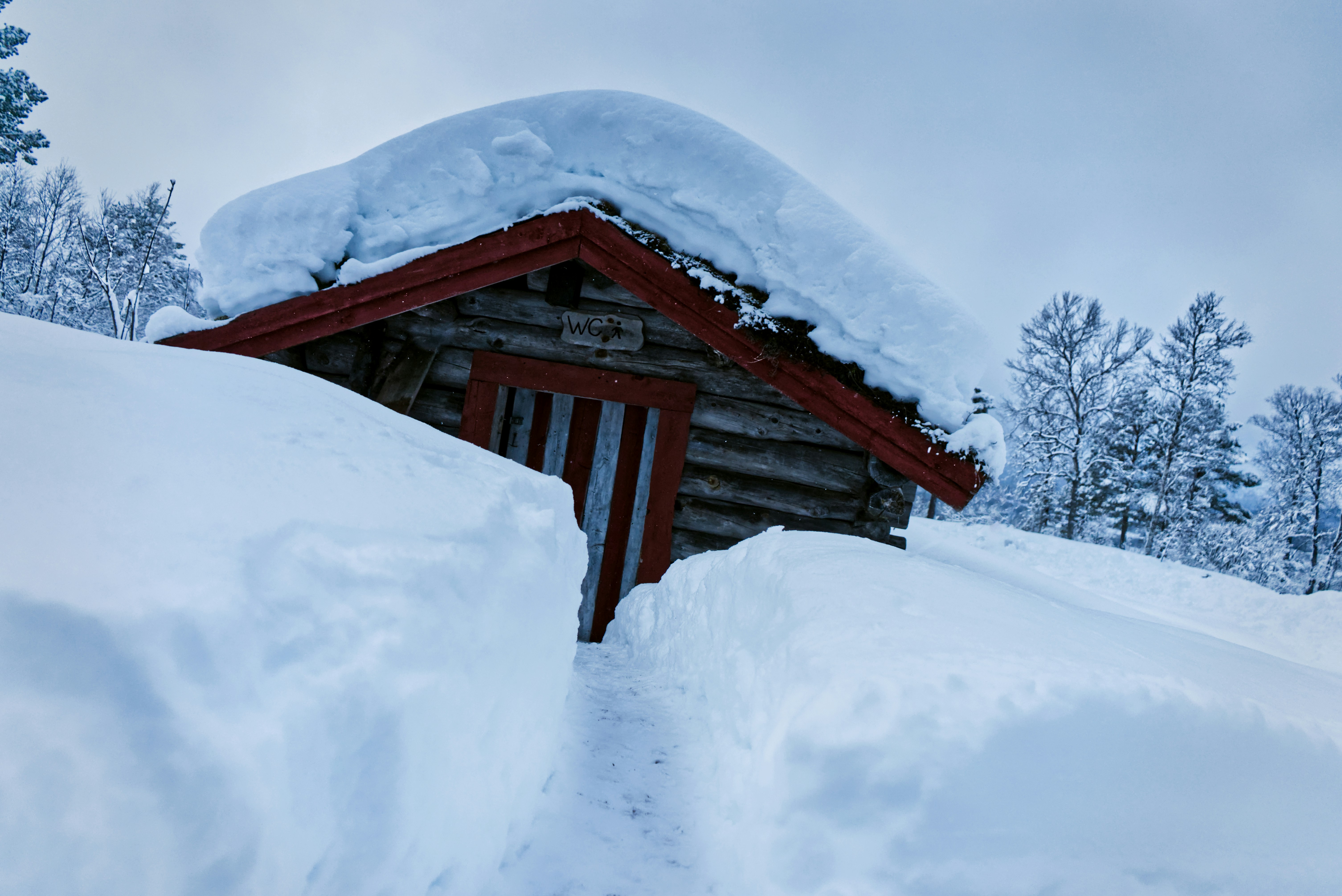 Photo by swimstaralex