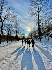 people walking on snow covered road during daytime