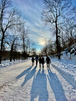 people walking on snow covered road during daytime