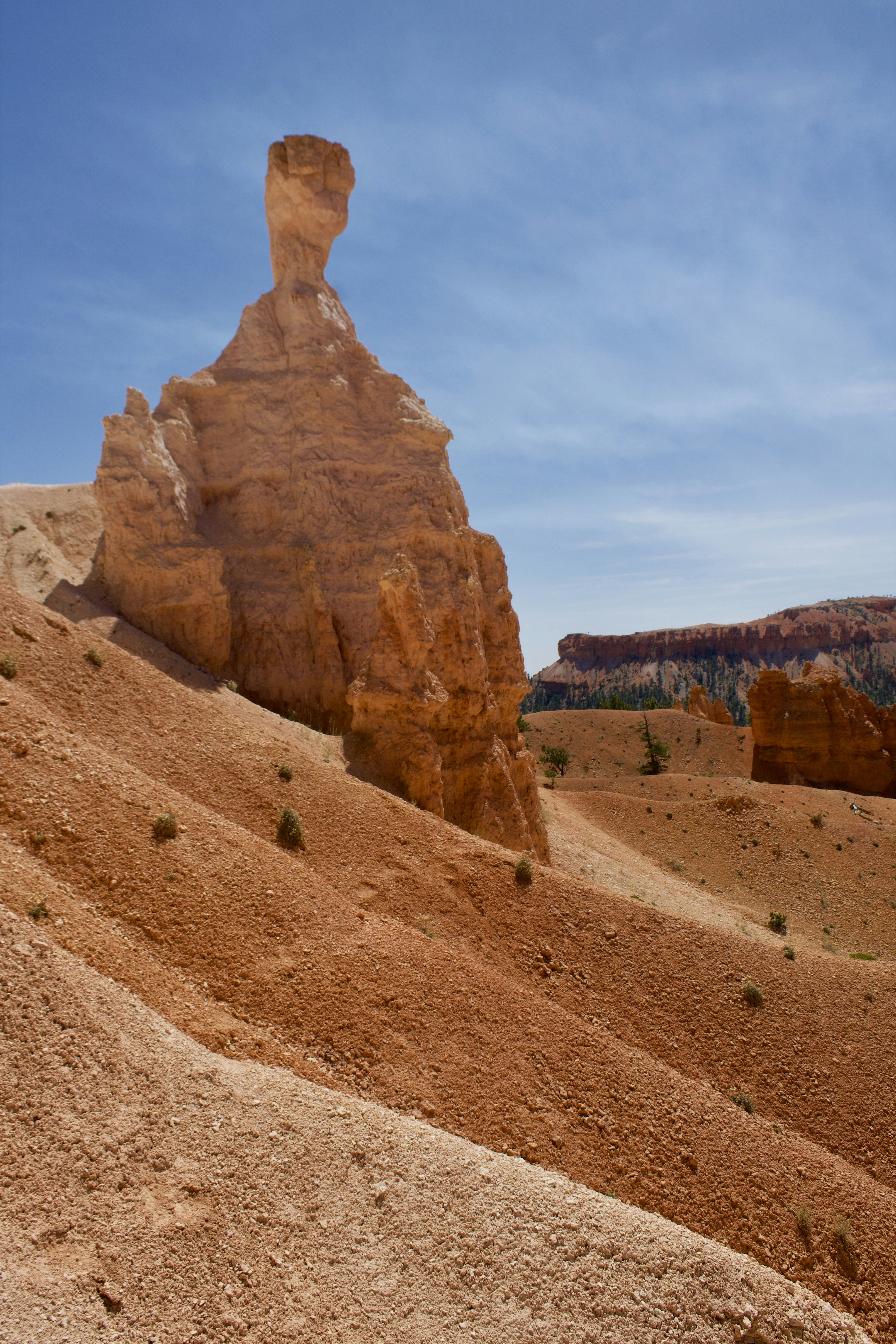 Photo by nancyoconnor