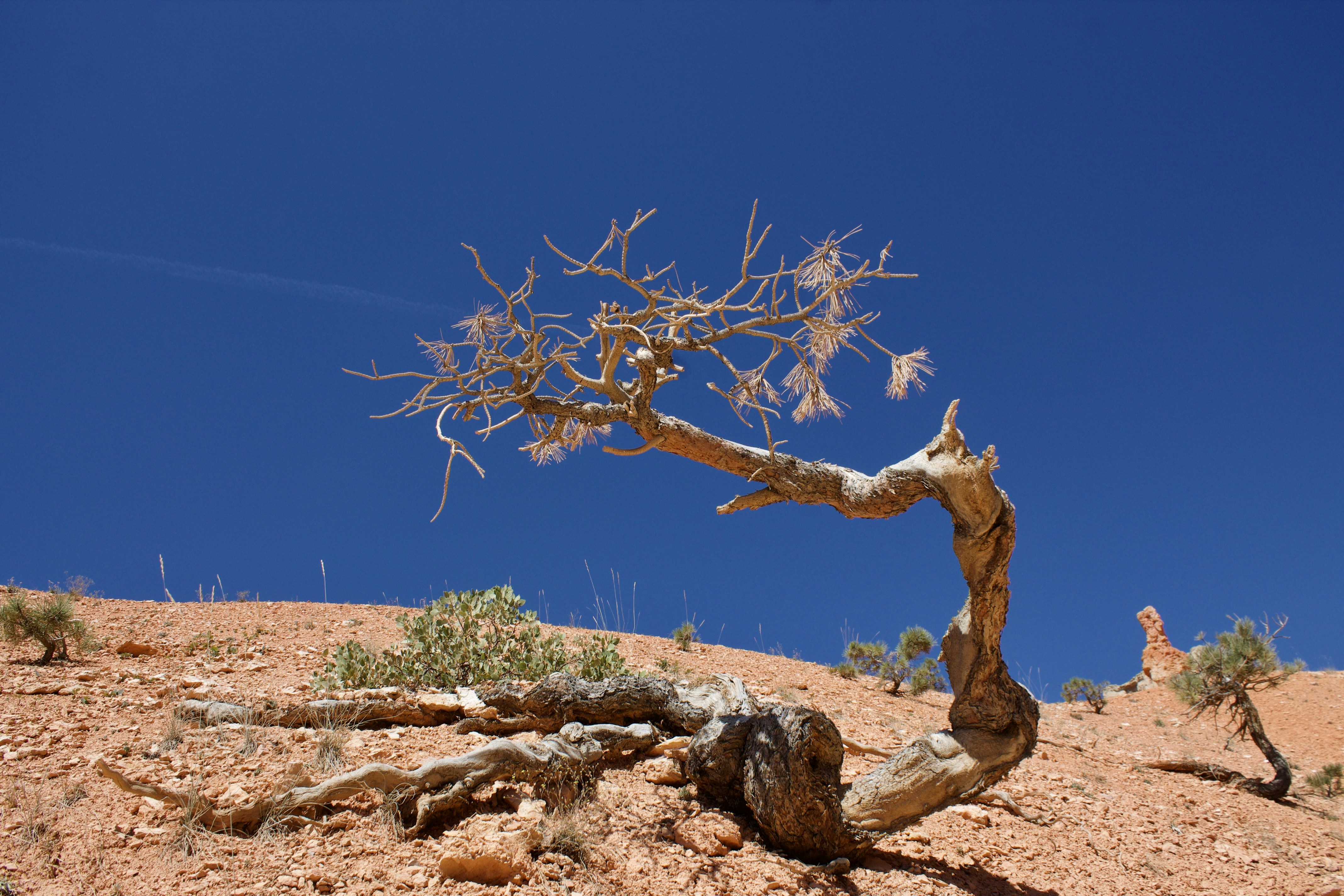 Photo by nancyoconnor