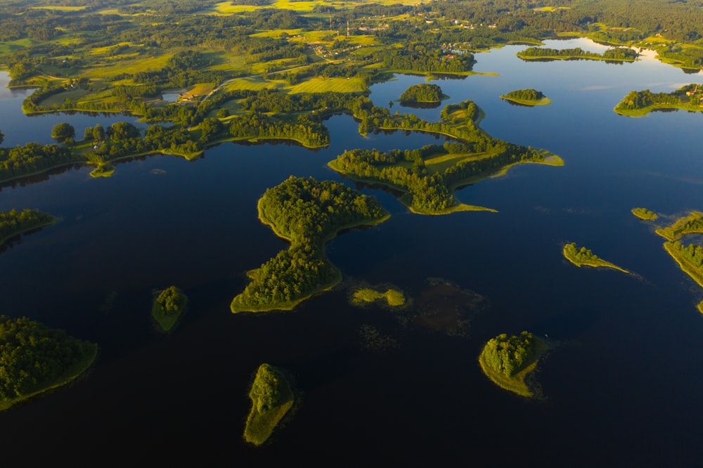 Vista aérea de árboles verdes y cuerpos de agua durante el día
