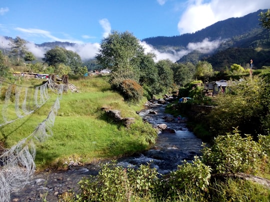 photo of Jiri Nature reserve near Tsho Rolpa Glacial Lake