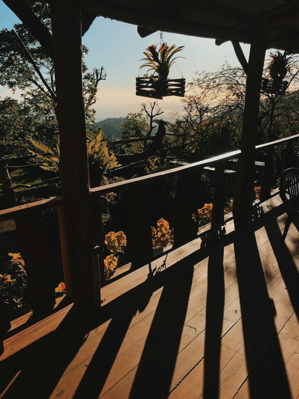 brown wooden fence near green trees during daytime