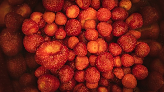 red apple fruit in close up photography