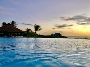 palm trees near body of water during daytime