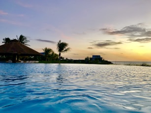 palm trees near body of water during daytime