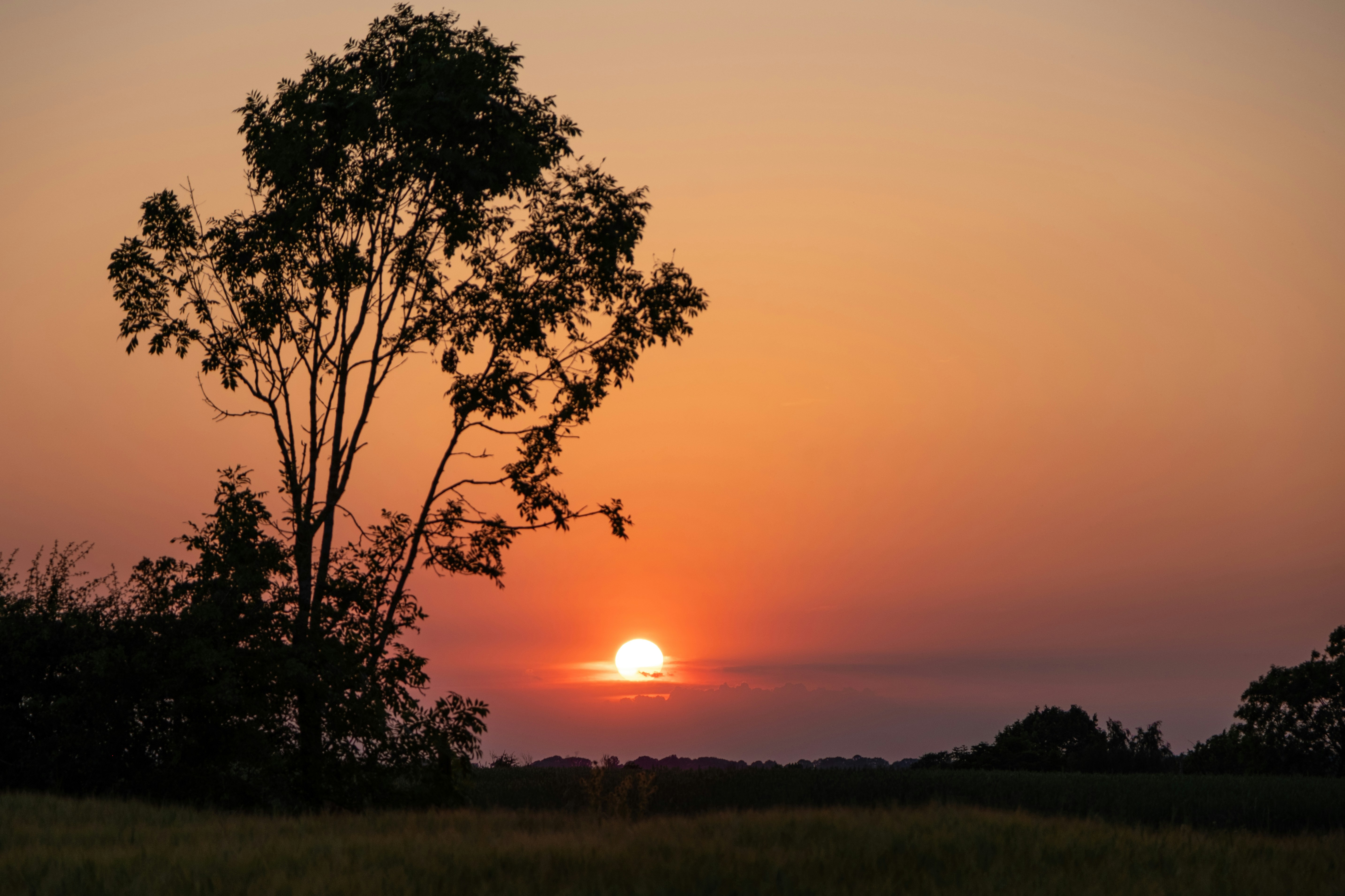 Photo by _twistedplot