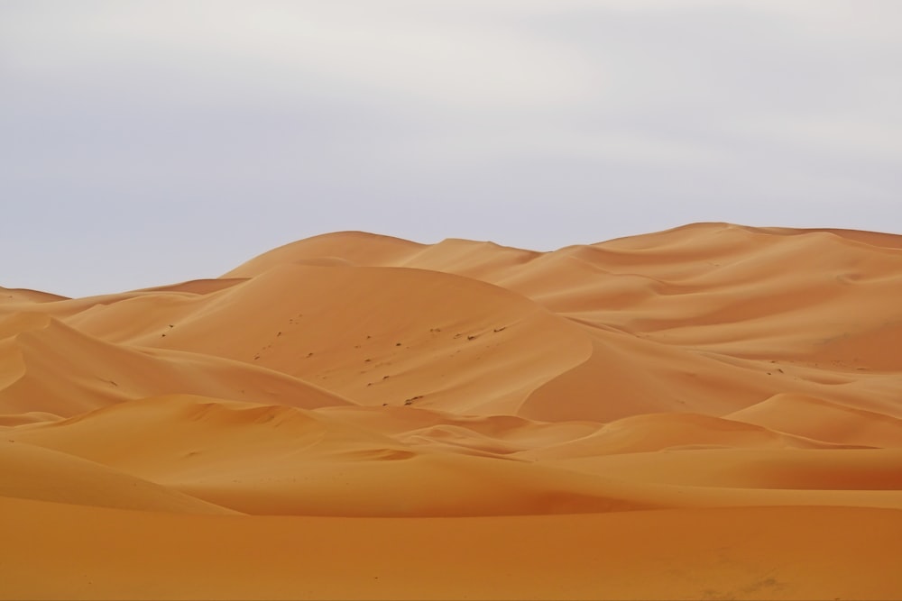 낮에는 하얀 하늘 아래 갈색 사막