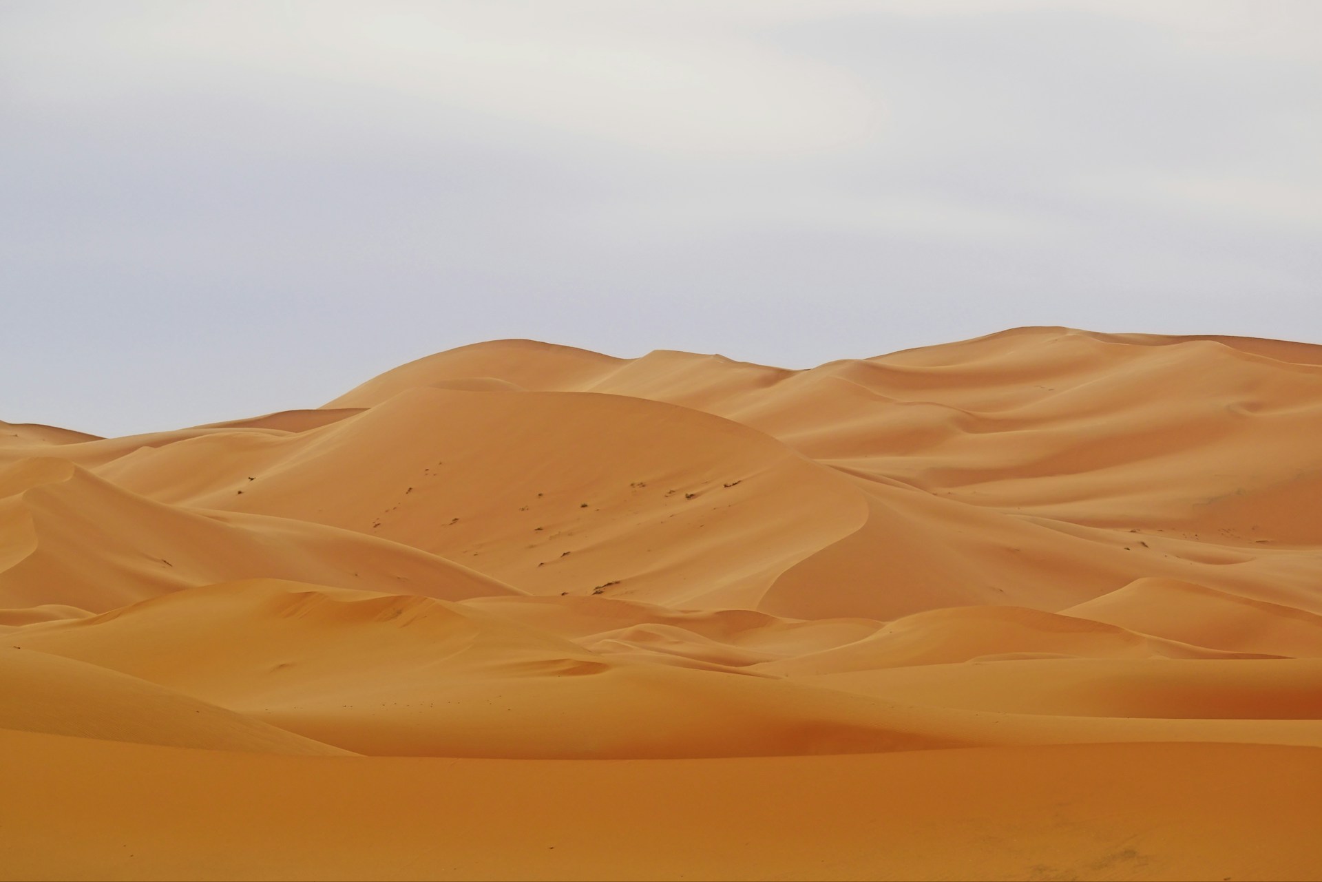 brown desert under white sky during daytime