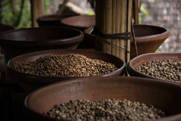 Brown wooden round container with brown seeds