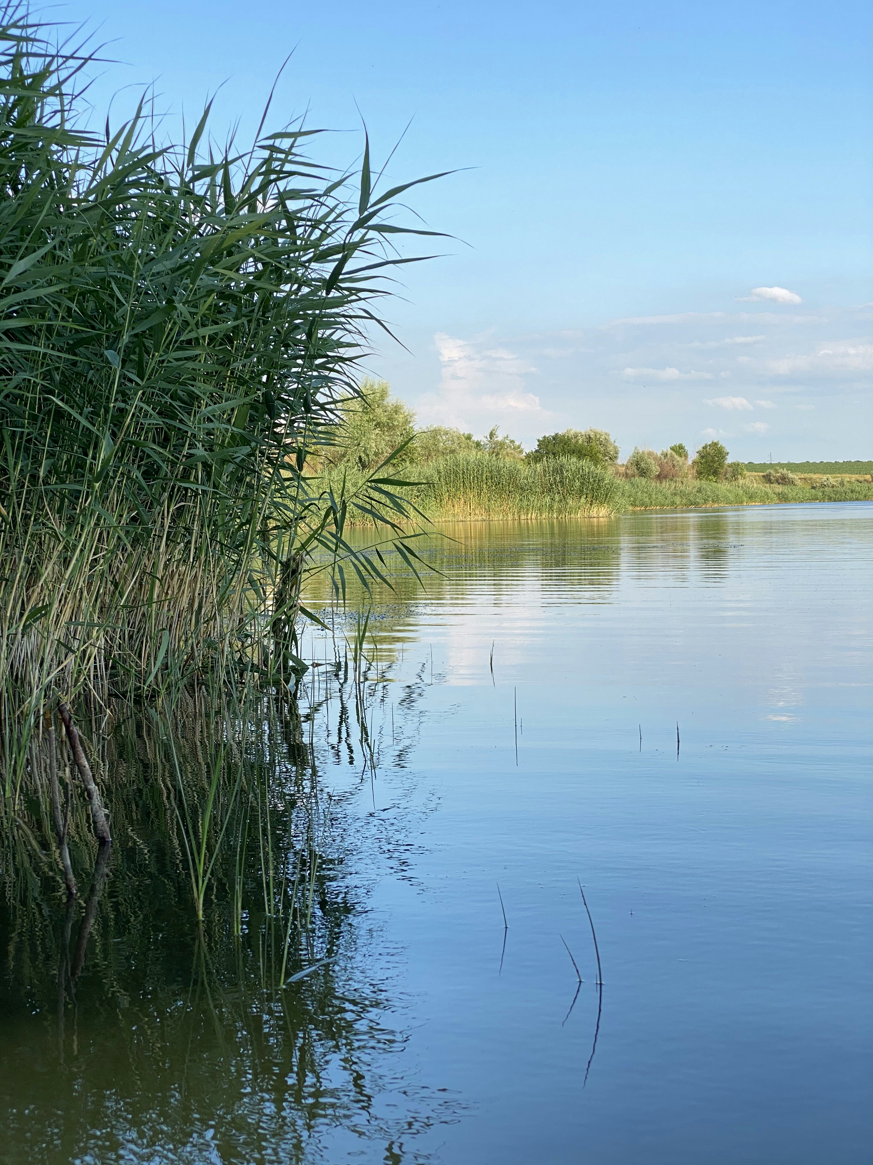 Photo by original_1st