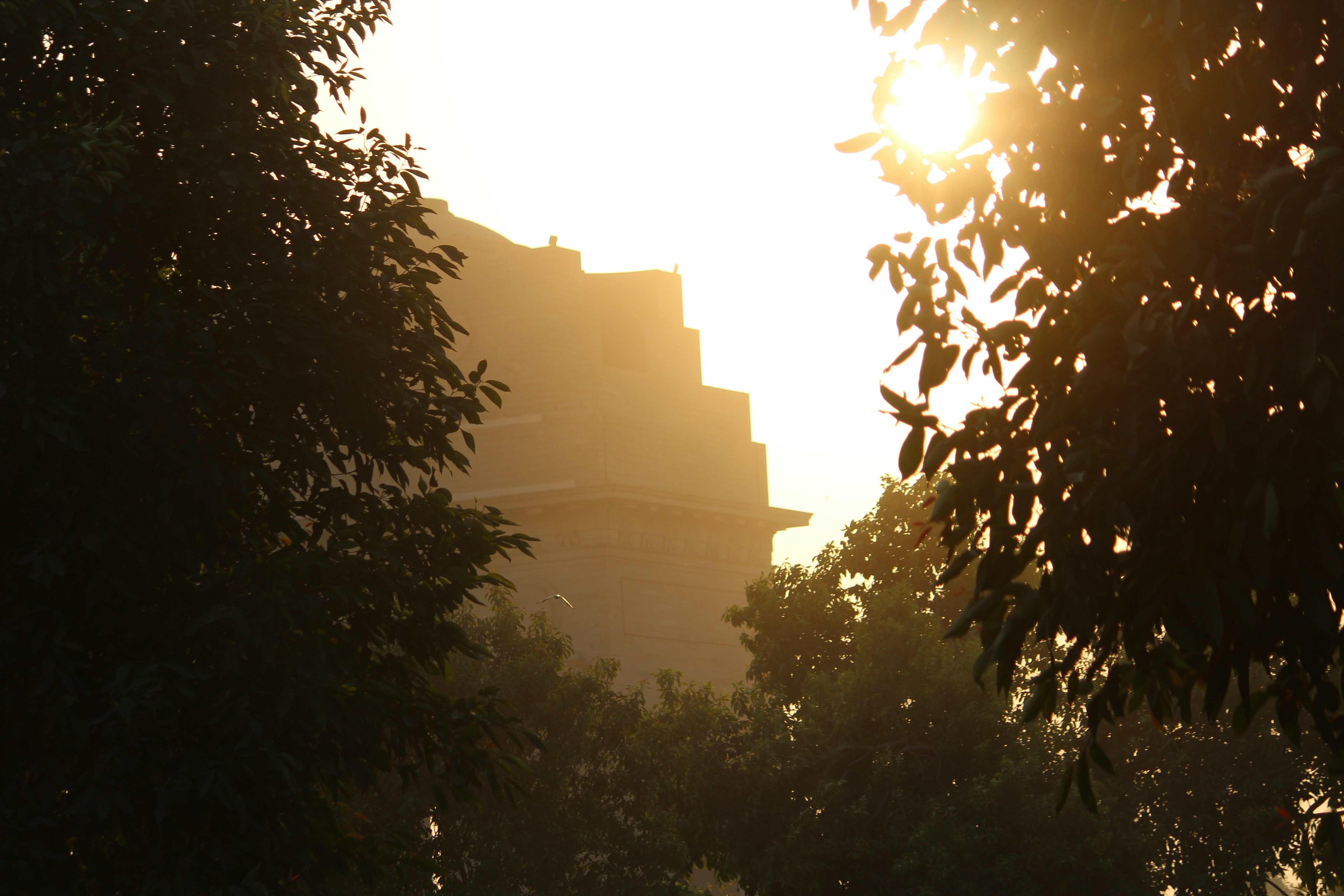 Photo by abhidevvaishnav