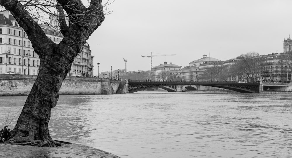 grayscale photo of bridge over river