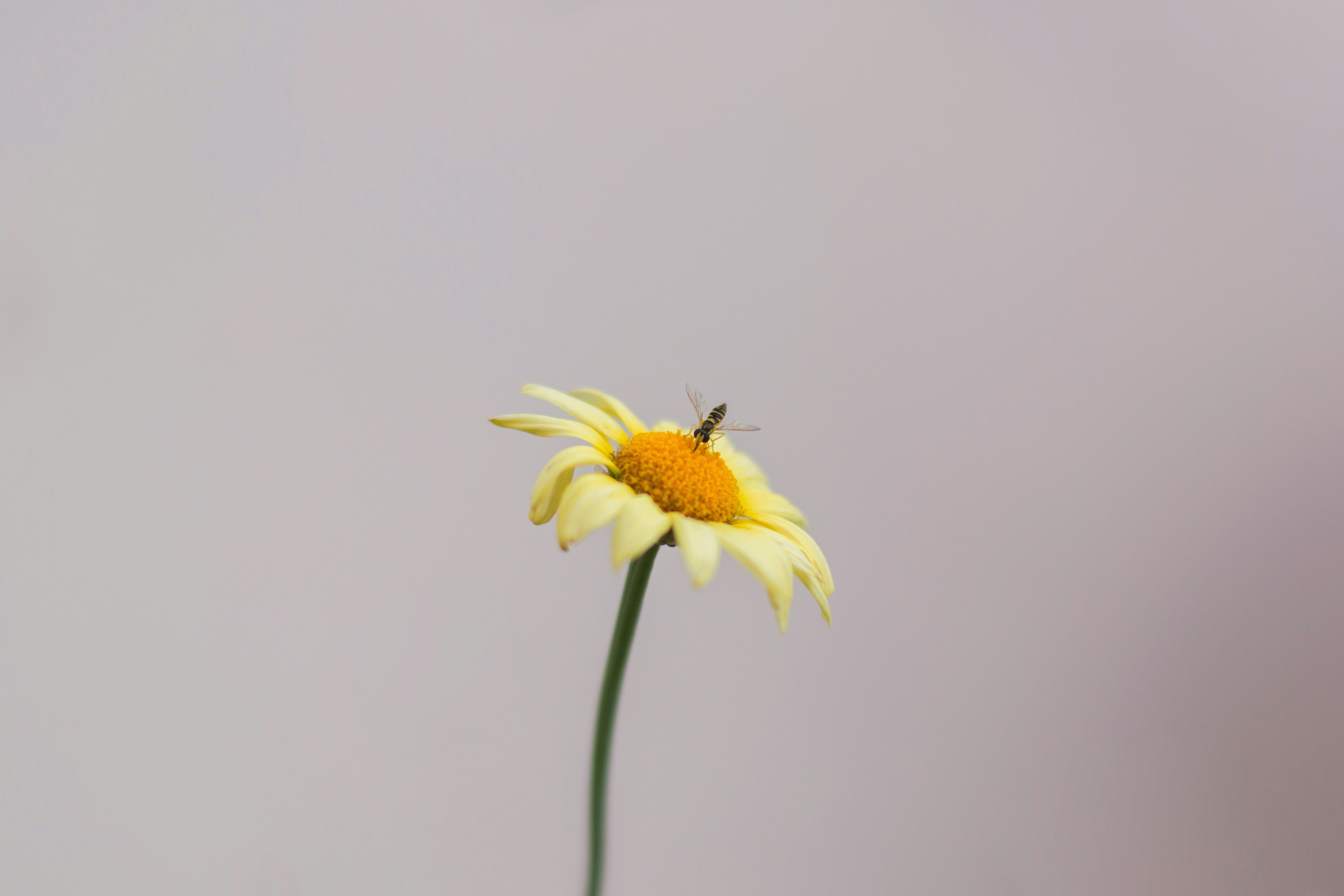 Photo by filipbaotic