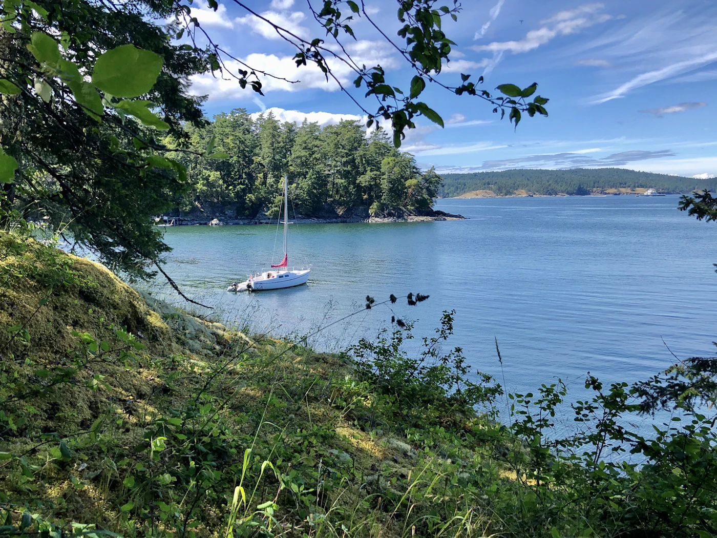 A sheltered bay framed by trees and green hillside