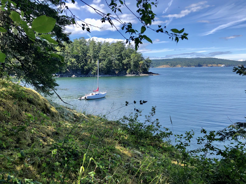 A sheltered bay framed by trees and green hillside