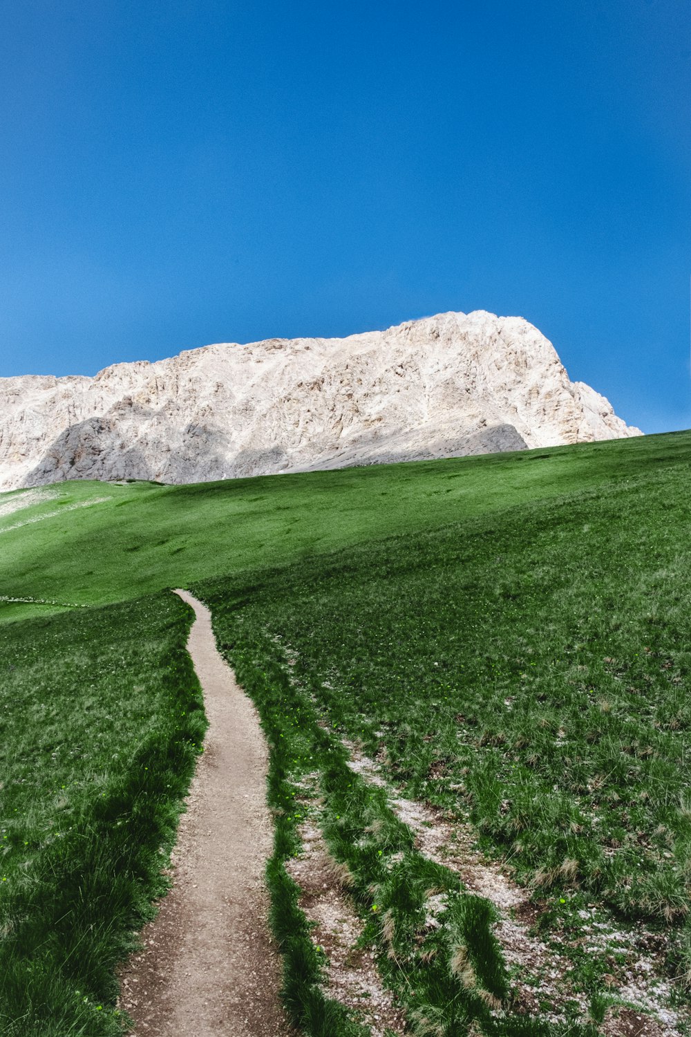 Grünes Grasfeld in der Nähe des grauen Rocky Mountain unter blauem Himmel tagsüber