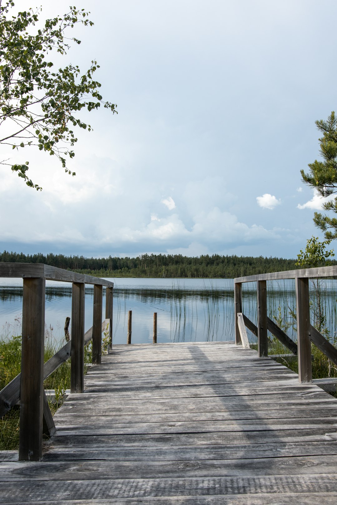 brown wooden dock on lake during daytime