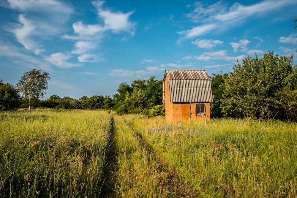 brown wooden barn on green grass field under blue sky during daytime