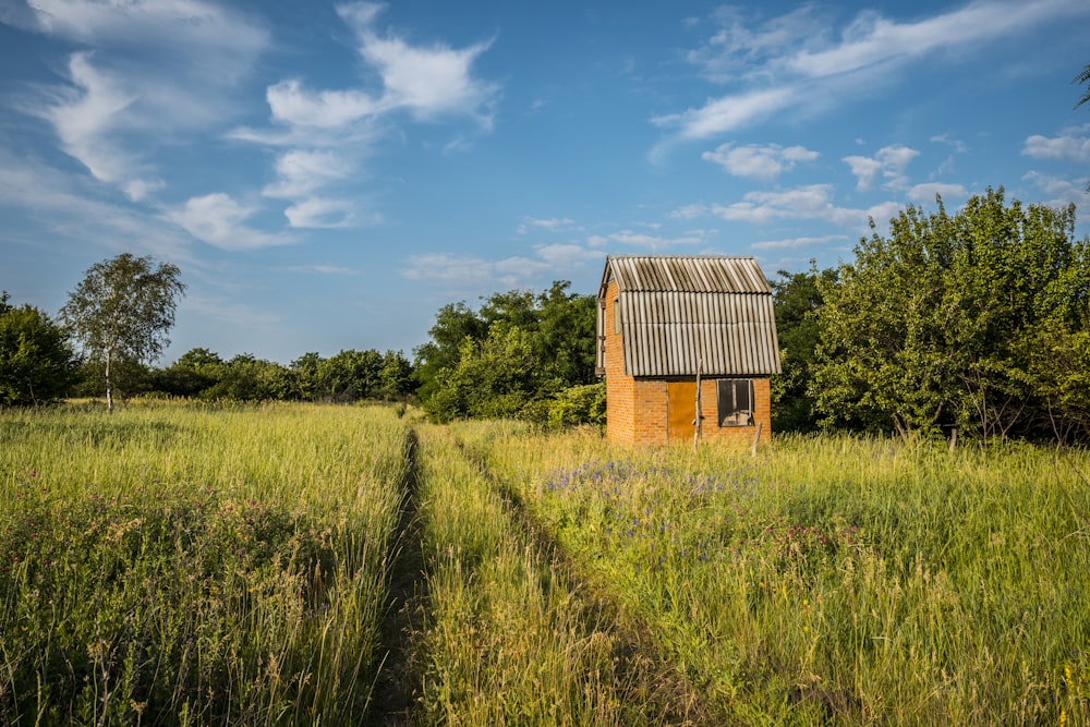 昼間の青空の下、緑の芝生の野原に茶色の木造納屋
