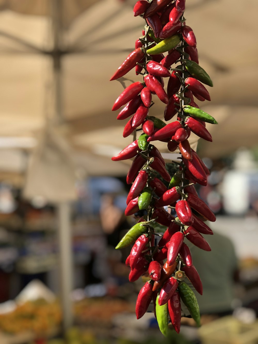 red and green round fruit