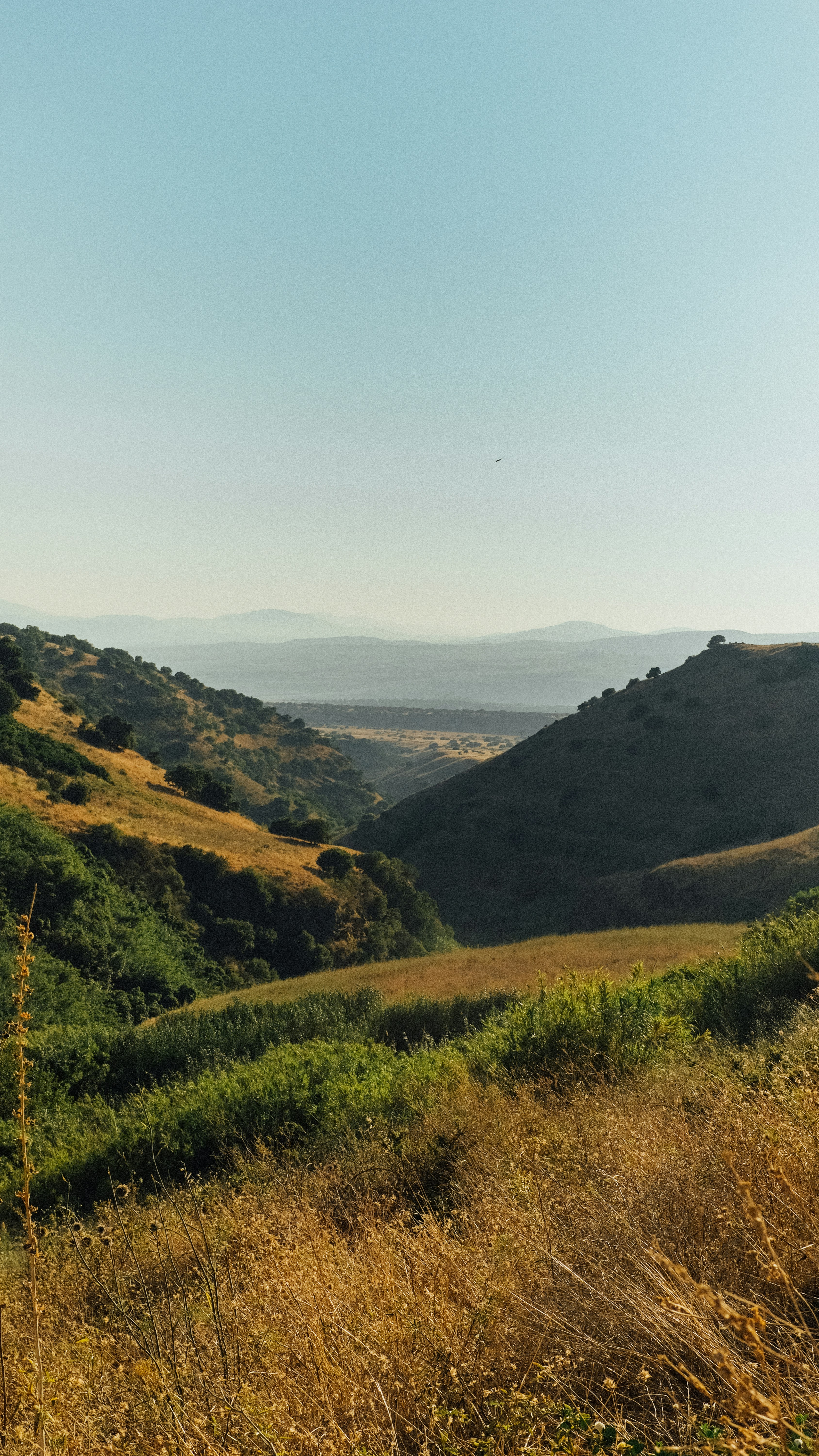 Photo by chenhanozel