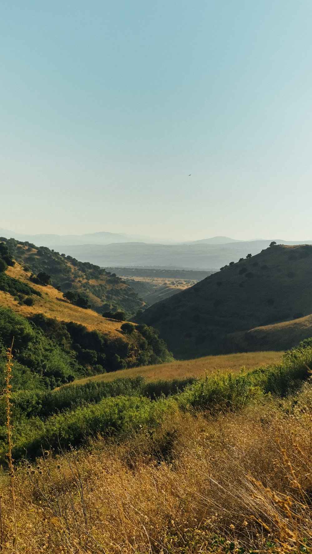 green grass field and mountains during daytime