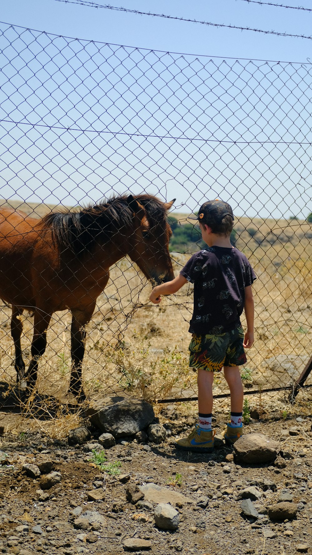 boy in black t-shirt standing beside brown horse during daytime