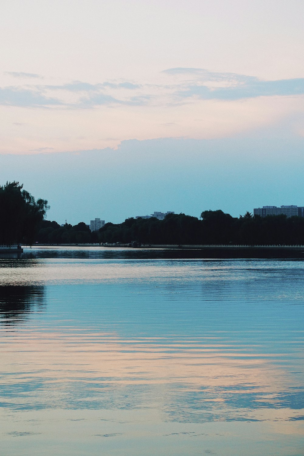 body of water near trees during daytime