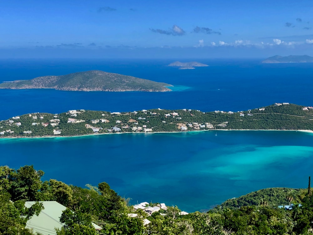 árvores verdes perto do corpo azul de água durante o dia