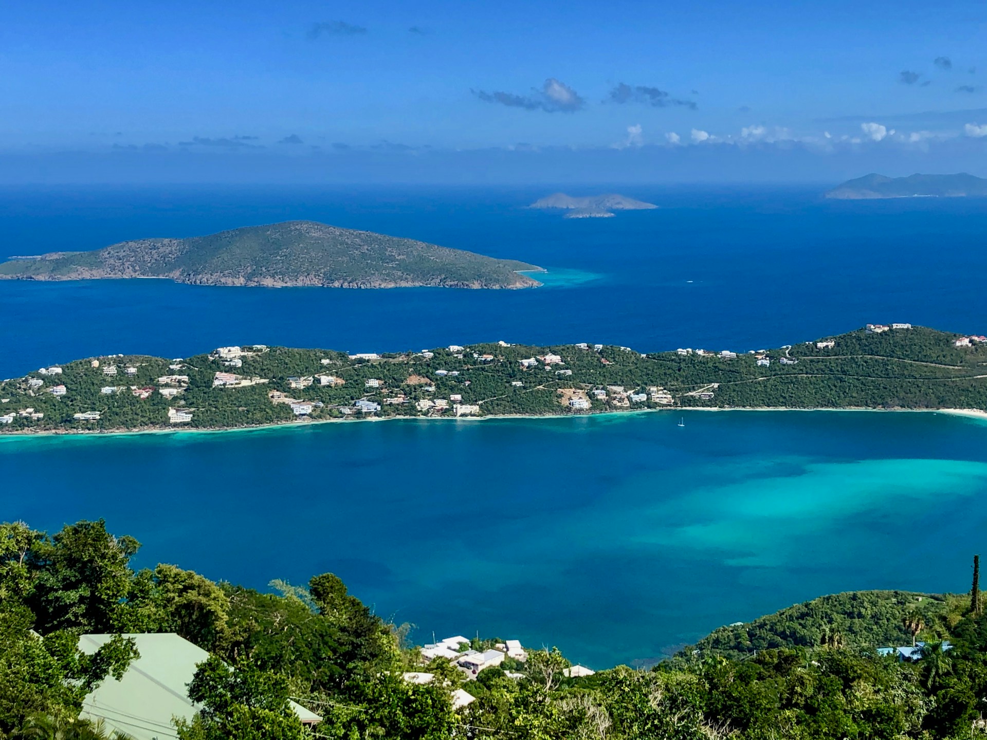 green trees near blue body of water during daytime