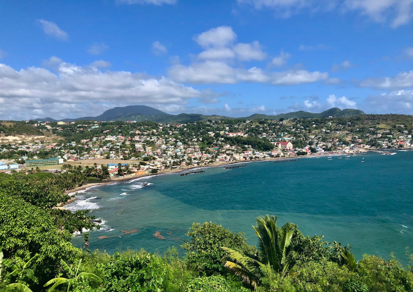 Lush rainforest landscape in Dominica, the Nature Island