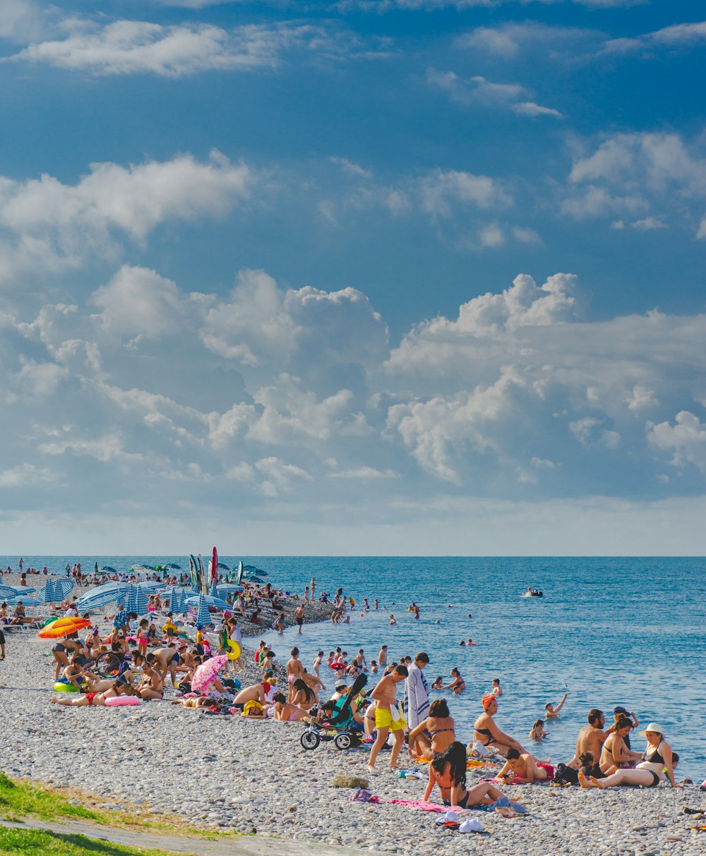 people on beach during daytime