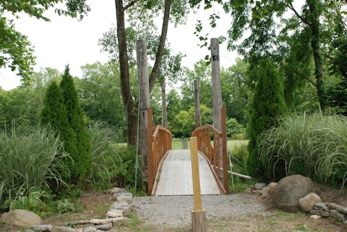A peaceful footpath crossing a small wooden bridge over a bubbling creek.