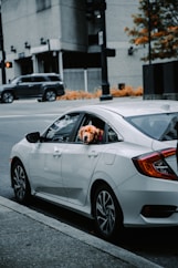 white sedan on road during daytime