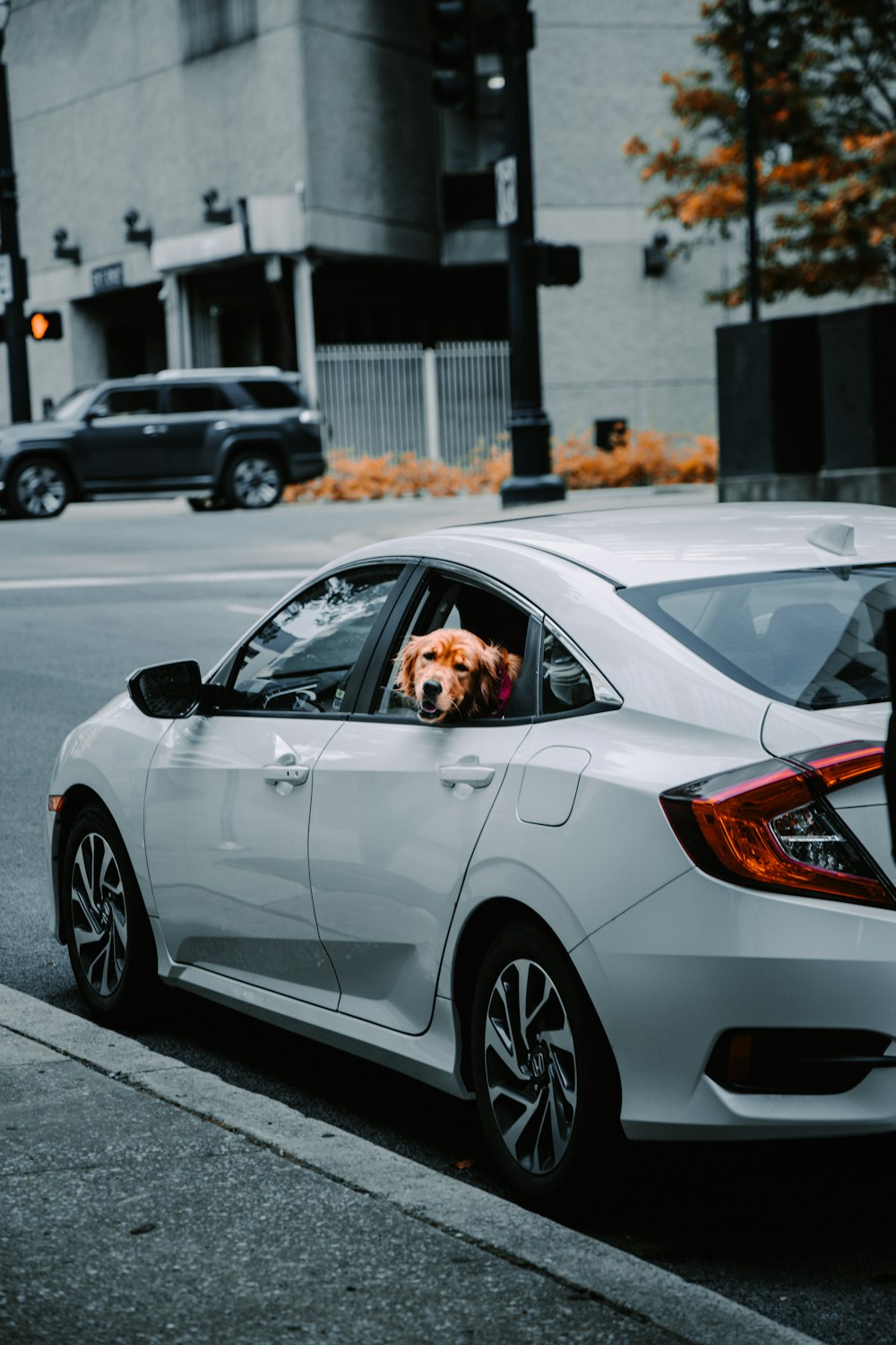 white sedan on road during daytime