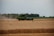 A green agricultural combine harvester is operating in a vast golden wheat field. It is actively cutting and threshing the wheat, leaving behind a trail of dust. The backdrop includes a dense line of trees under a slightly overcast sky.