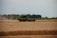 A green agricultural combine harvester is operating in a vast golden wheat field. It is actively cutting and threshing the wheat, leaving behind a trail of dust. The backdrop includes a dense line of trees under a slightly overcast sky.