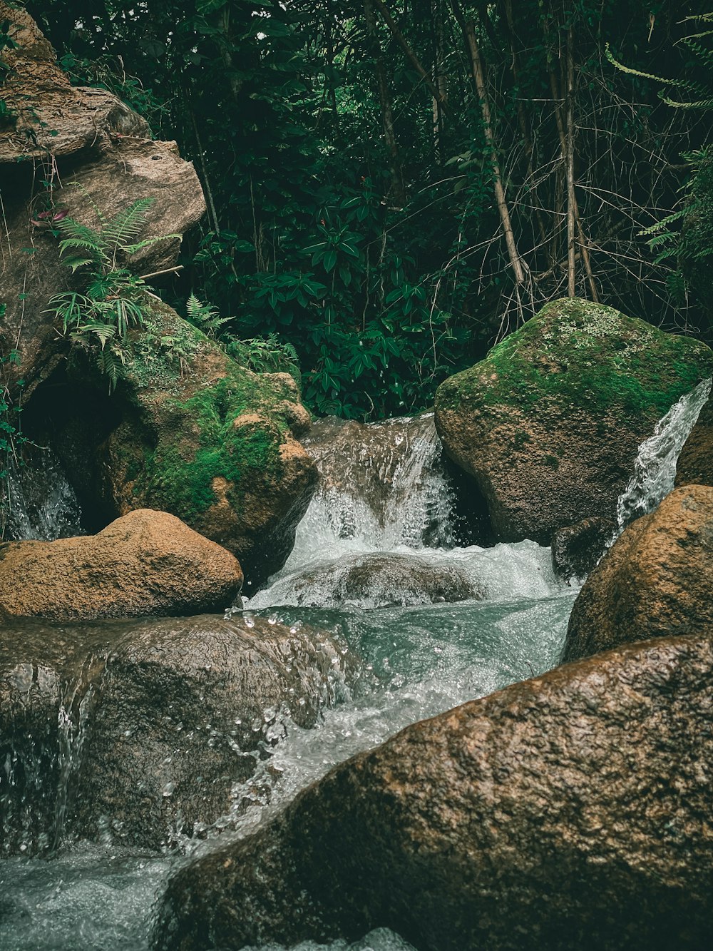 water falls between brown rocks and green trees during daytime